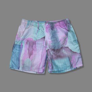 CITY STREETS Men's Sz L Brief NETTED Swim TRUNKS Beach Shorts EXCELLENT
